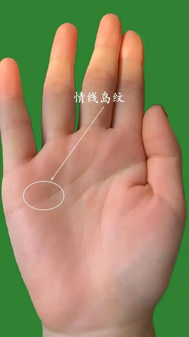 生命线尾部有分叉,晚年易有老年病发生,建议日 - 抖音