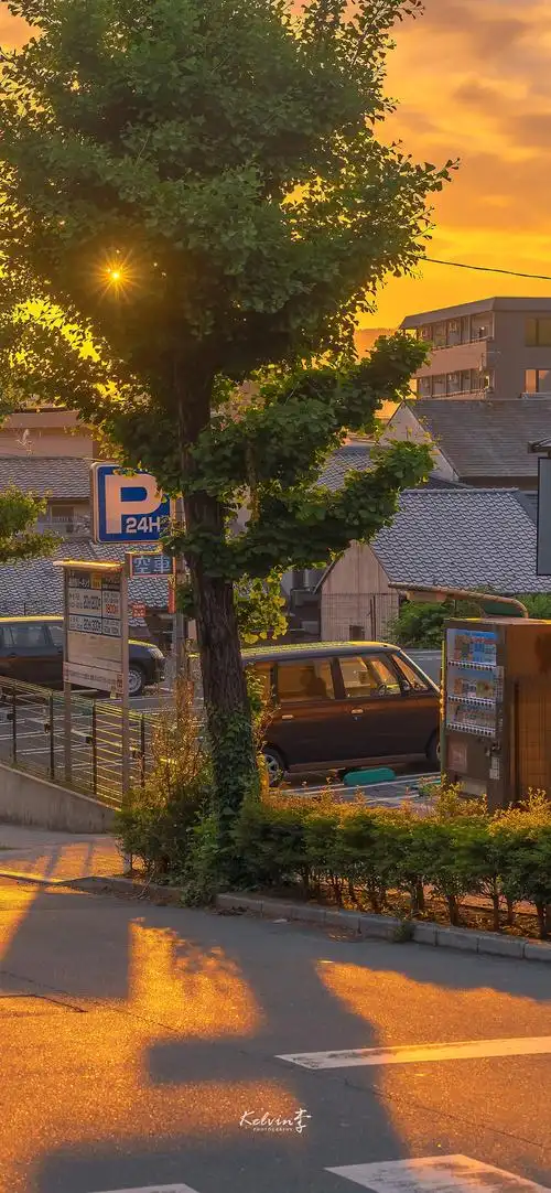 文艺唯美手机壁纸真想躲在夕阳的怀里