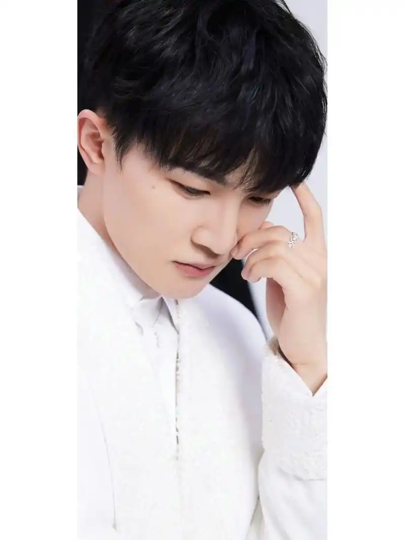 周深壁纸315663156611566好干净纯粹的小白猫 #周深壁纸