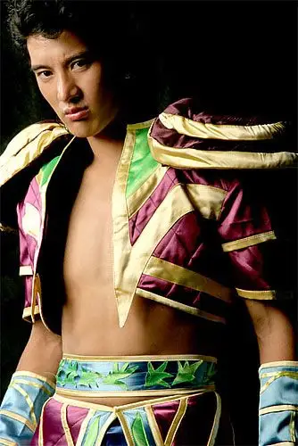 蒲巴甲想同世姐举火炬 为奥运会不拒牵手李宇春