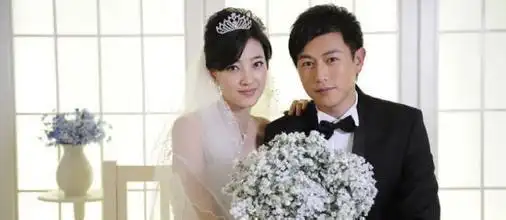 王丽坤个人资料及近况和图片陈键锋王丽坤结婚照 - 新宇视窗