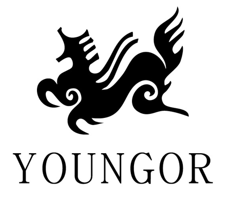 width=740 border=undefined>雅戈尔logo本期短期融资券发行规模为18