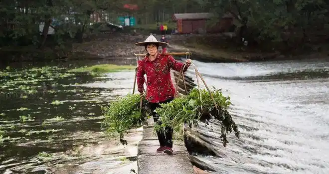 科普:挑担子中的物理学|方向|扁担|重物_网易订阅