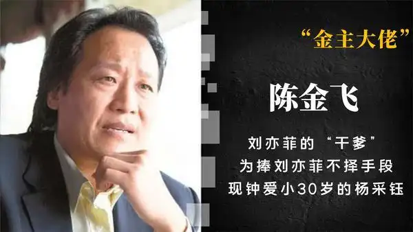 陈金飞个人资料 陈金飞杨采钰是怎么认识的 杨采钰陈金飞疑领证结婚