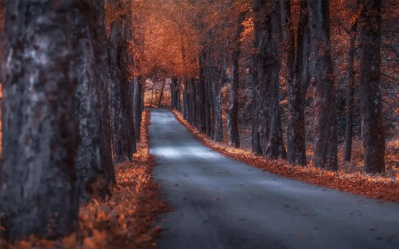 秋日唯美风光高清桌面壁纸