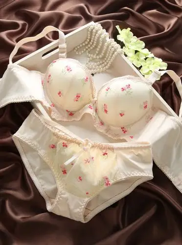 调整型高档刺绣小花朵可拆垫女士文胸套装批发供应调整型文胸套装