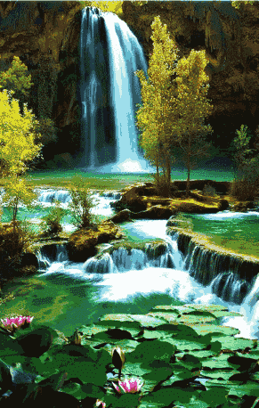 291_458竖版 竖屏gif 动态图 动图