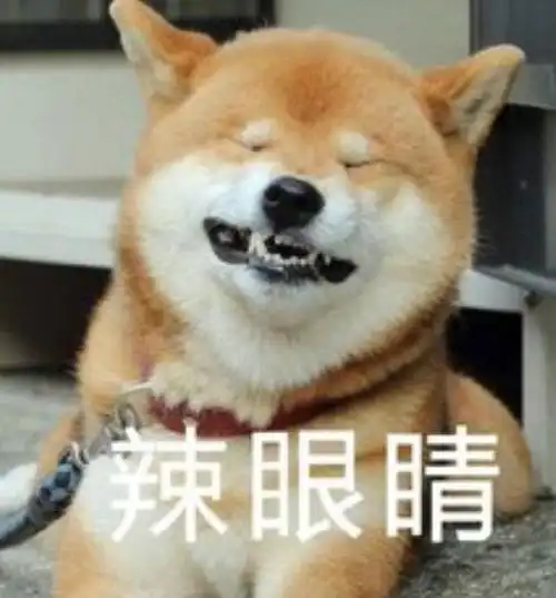 柴犬贱萌表情包再来一波