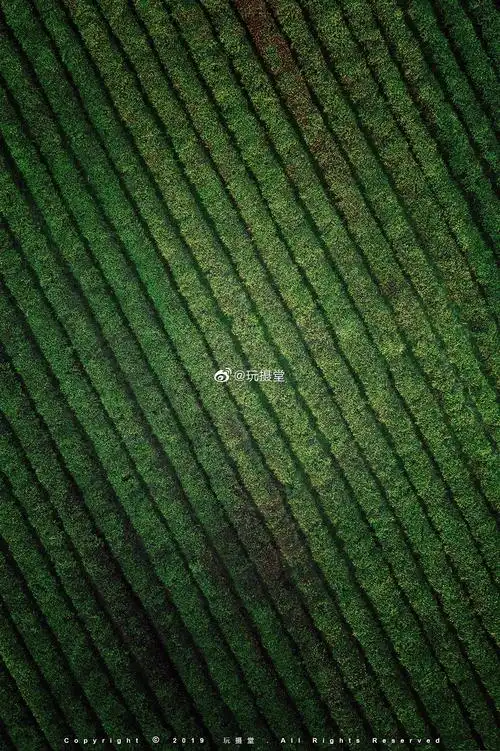 本来今天应该是2020的水印了,由于昨晚信号不好,没有发出_高清图集