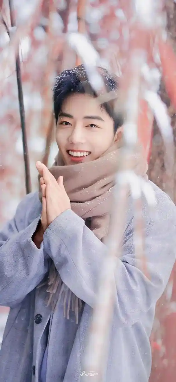 肖战壁纸,太帅了