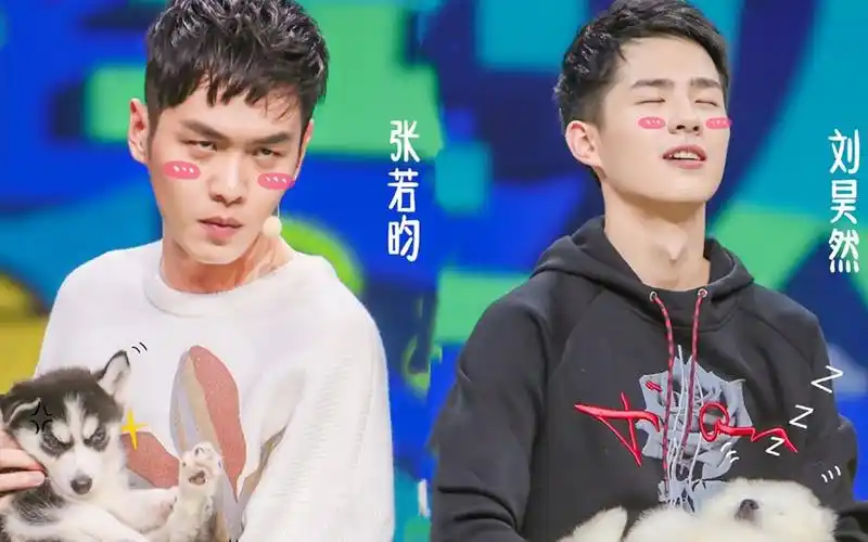 【刘昊然 张若昀 快本20161015期cut】甜奶cpφ(>ω *)