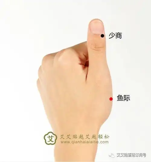 因此穴在拇短展肌,拇指对掌肌之边缘,又此处肌肉丰隆,形如鱼腹,又当赤