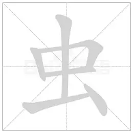 一年级生字"虫"书写讲解及示范(连载)