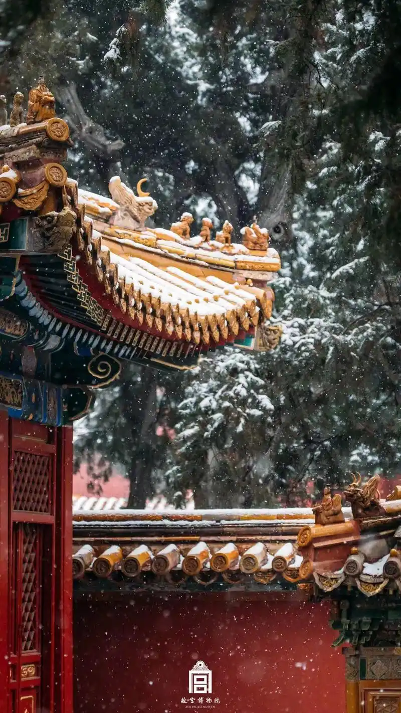故宫美图丨北京下了一场雪,于是我们看见这样的紫禁城