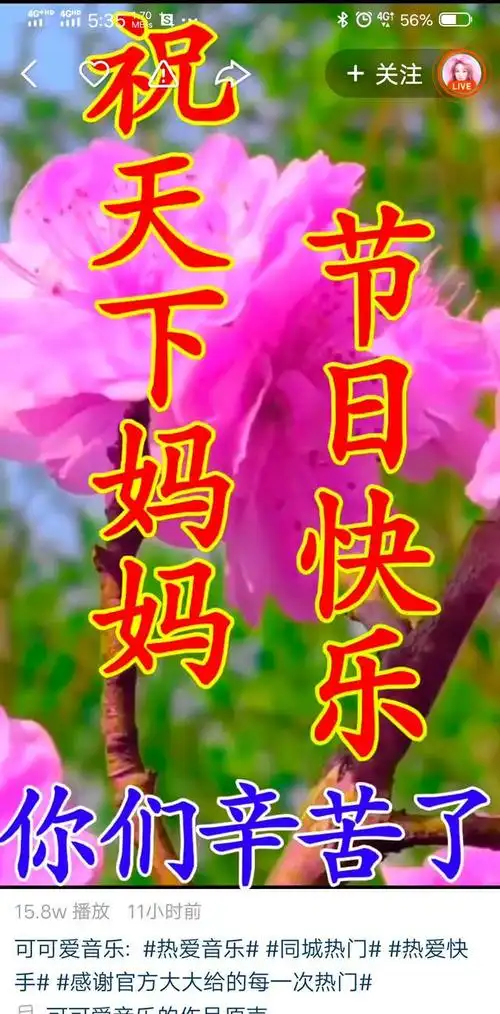 今天是个特殊的日子,母亲节快乐