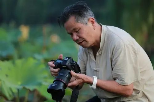 摄影者捕捉飞鸟一瞬间