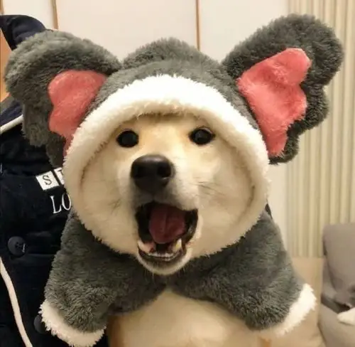 有没有中性一点的头像男女用都不会觉得很别扭那种