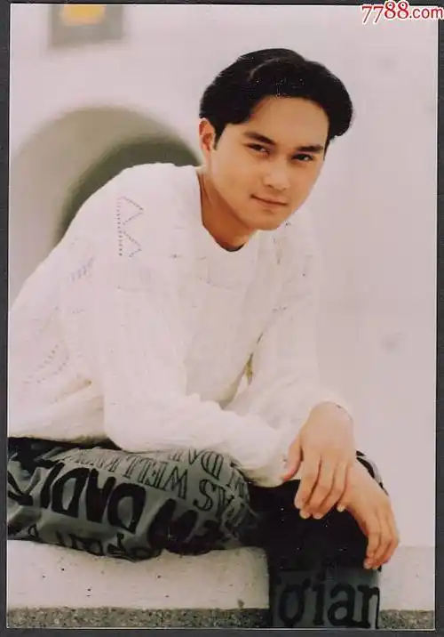 香港著名影星张智霖