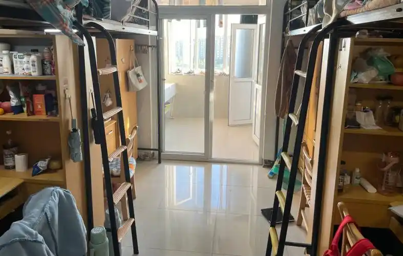 转本的宝子们满足你们的好奇心#专转本  #日常  #南京工业大学