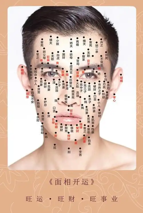 男的面相痣图解