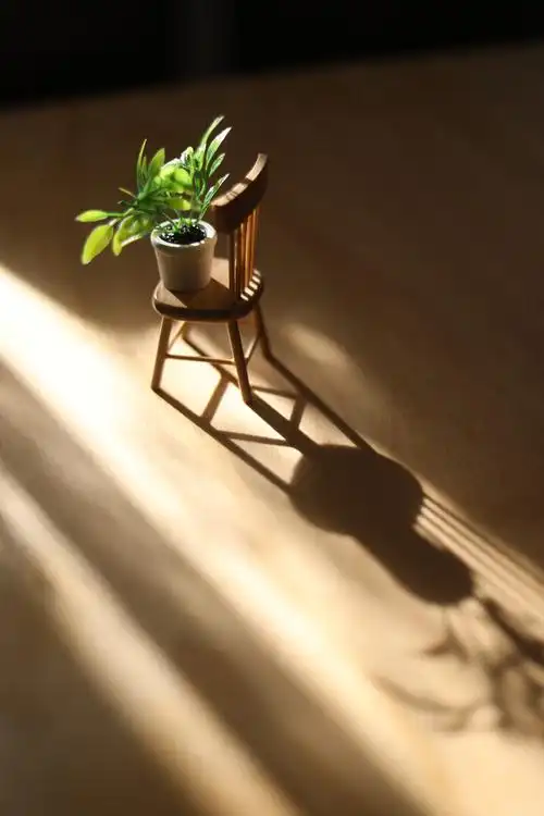 捕捉到晒进屋里的一束光