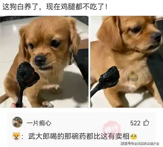 网恋奔现的大型翻车现场大伙笑疯了网友我找个对象容易吗