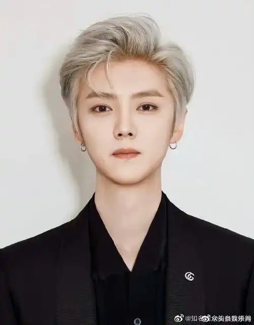 内娱男明星证件照