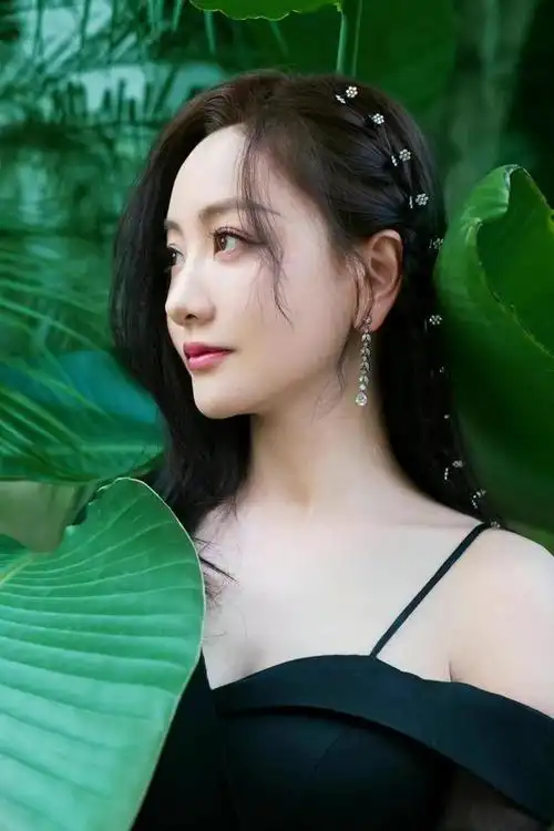 杨蓉编发披肩真好看一身黑色薄纱连衣裙典雅浪漫气质更是迷人