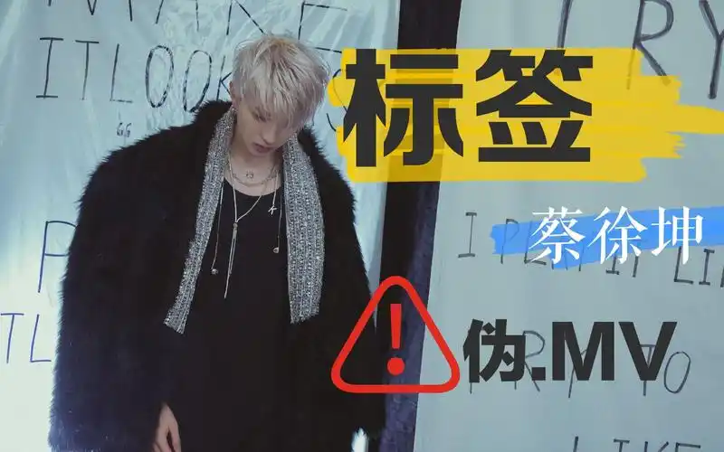 【蔡徐坤】《标签》自制(伪)mv!
