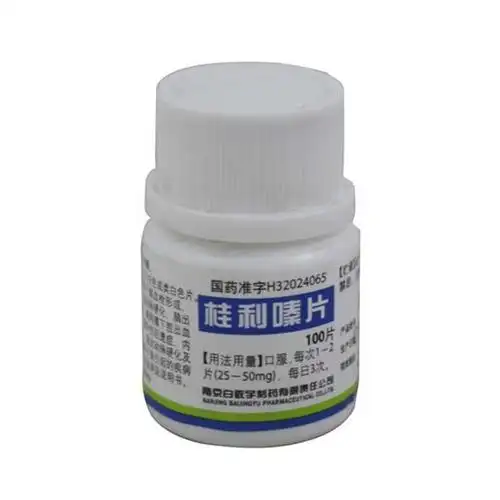 南京白敬宇 桂利嗪片