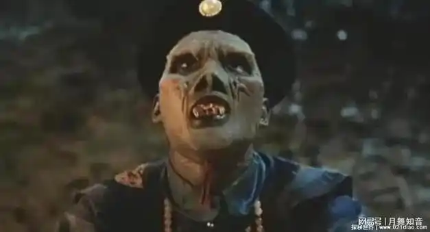 揭秘僵尸的真实性和发源地|女巫|亡灵|吸血鬼|恐怖电影_网易订阅