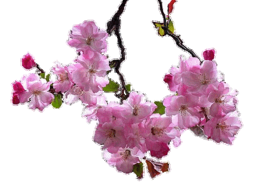 551_416gif 动态图 动图