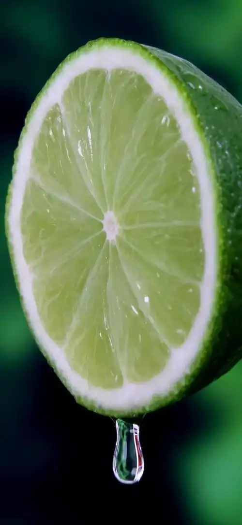 壁纸推荐绿色护眼绿意盎然清新唯美高清无水印