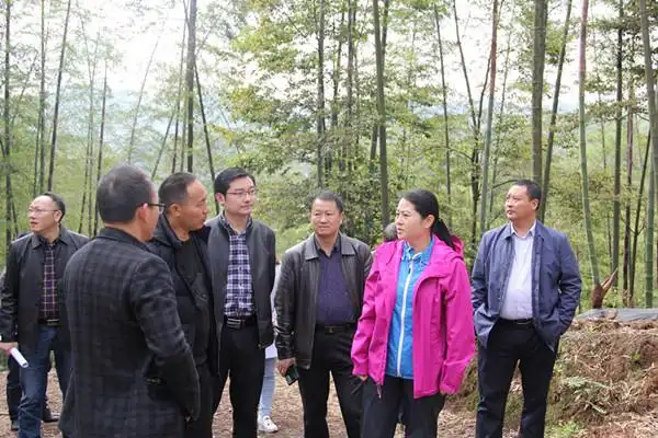 合江县委副书记王一米调研司法局帮扶贫困村天池村