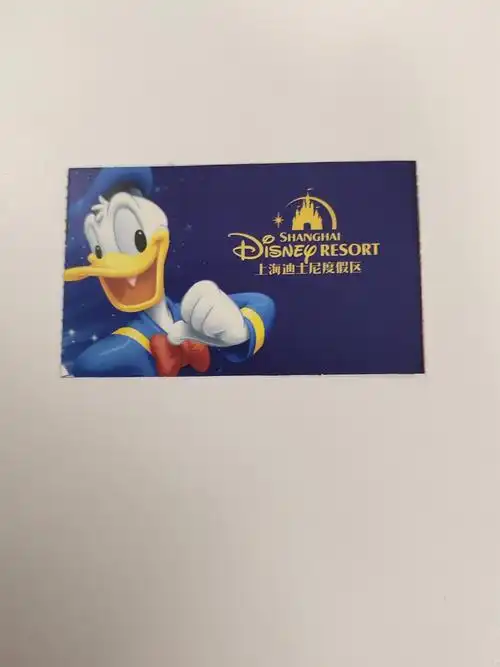 公司发的迪士尼门票