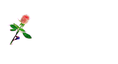 400_217gif 动态图 动图