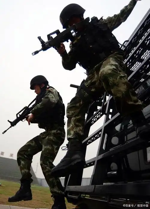 武警和武警特战队是什么区别