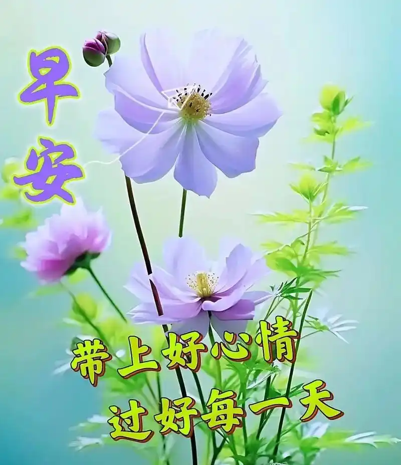 7月30日周日早上好,早安祝福语图片带字