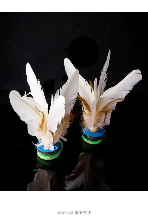 幼儿园儿童羽毛老式踢儿童训练耐毽子幼儿园比赛花毽毽球运动