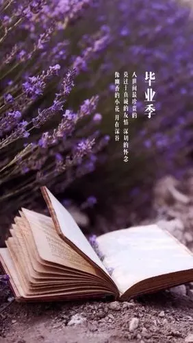 曾经的美好回忆