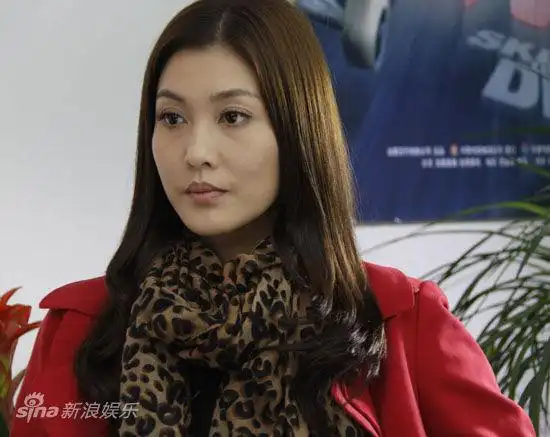 资料电视剧宝贝计划主角李彩桦饰陈风