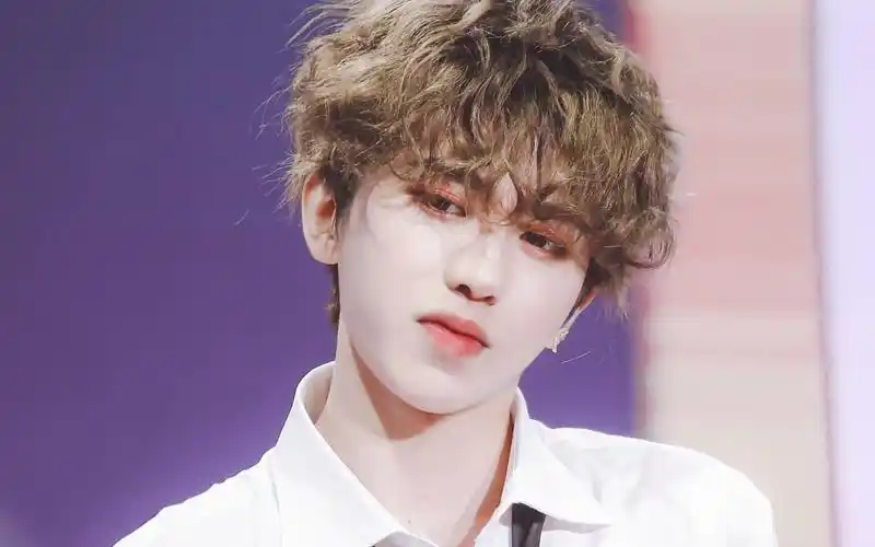 【蔡徐坤】奶萌奶萌的小葵来了蔡徐坤|新鲜の蜜桃黏黏猪|春日应季贩售