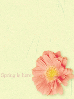 浮森若梦采集到闪闪★小清新