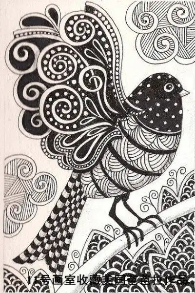 黑白画线条,鸟.