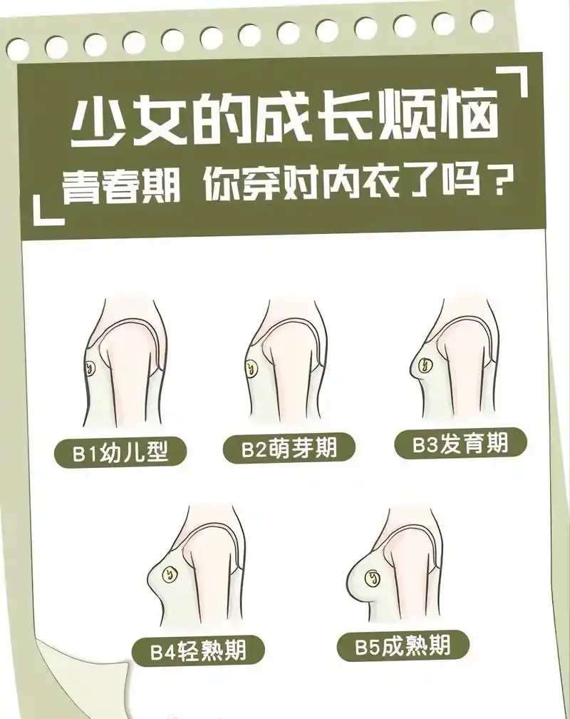 学生党宝妈党必看～选择从不将就.少女发育的四个阶段,一阶段( - 抖音