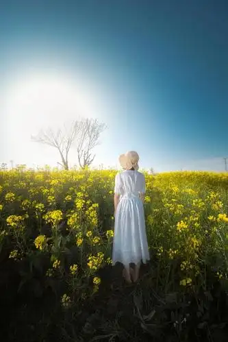 高清手机壁纸‖背影-有的人,一个背影已足够让人心动(下)