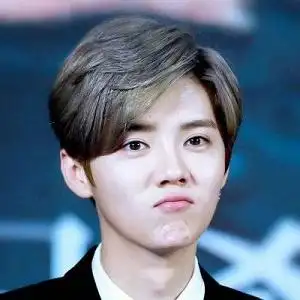 鹿晗青春帅气明星头像