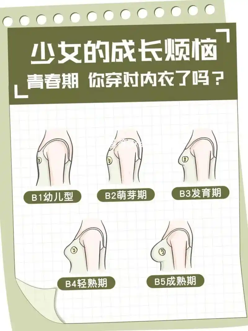 乳房萌芽期阶段:9—10岁,选择棉质小背心即可,不要束缚胸部发育 266