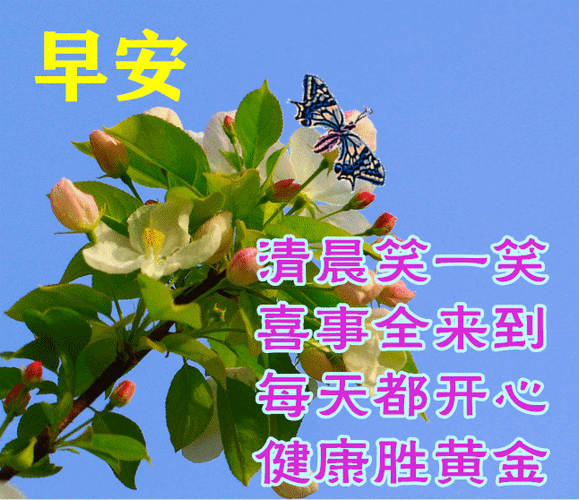 早上好鲜花图片带祝福语 2021最美早安问候动态图片鲜花带字_永健康