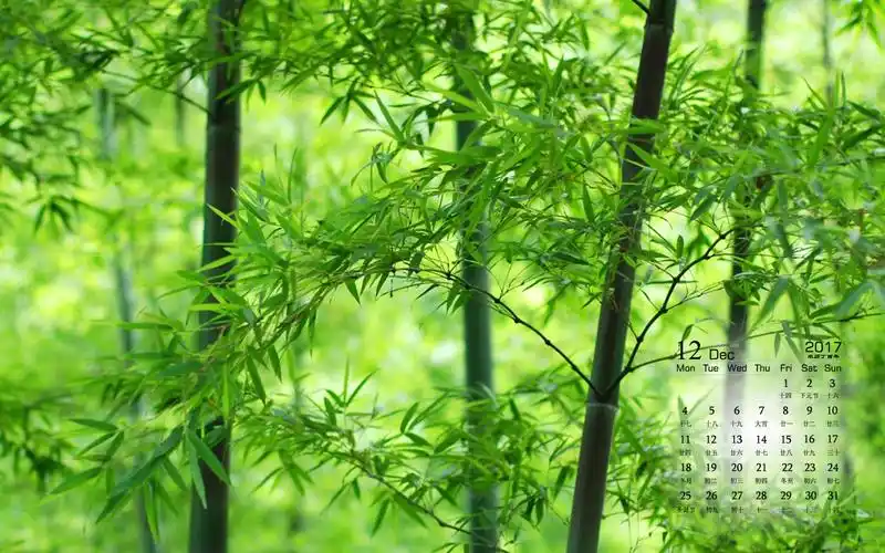 2017年12月绿色护眼竹小清新高清桌面日历壁纸